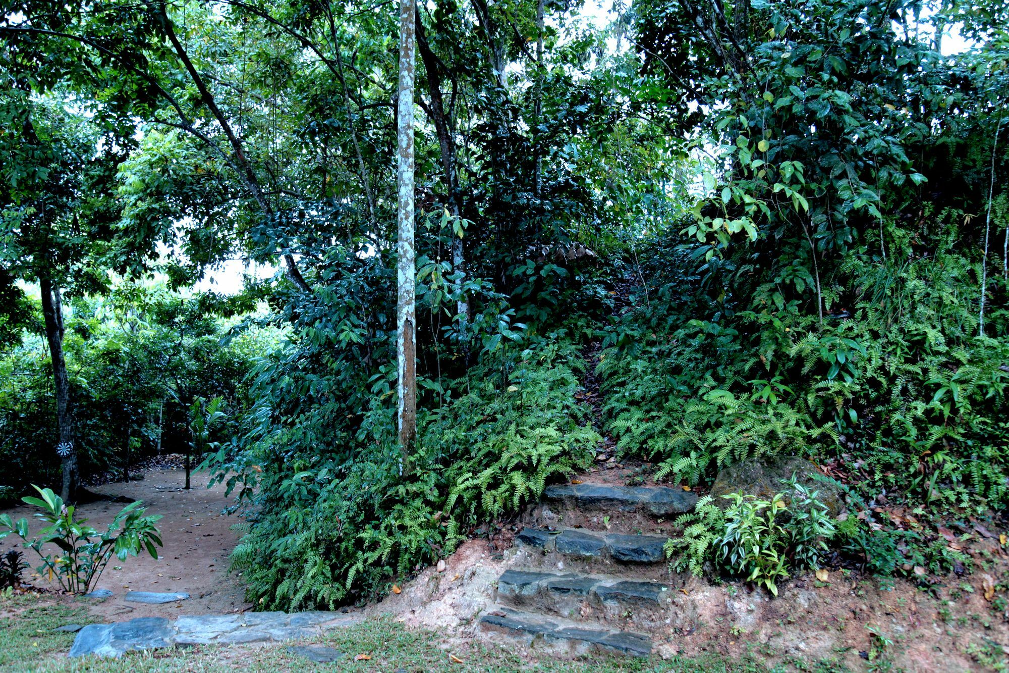 Ceylon Olive Galle Esterno foto